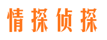 大余市私家侦探公司